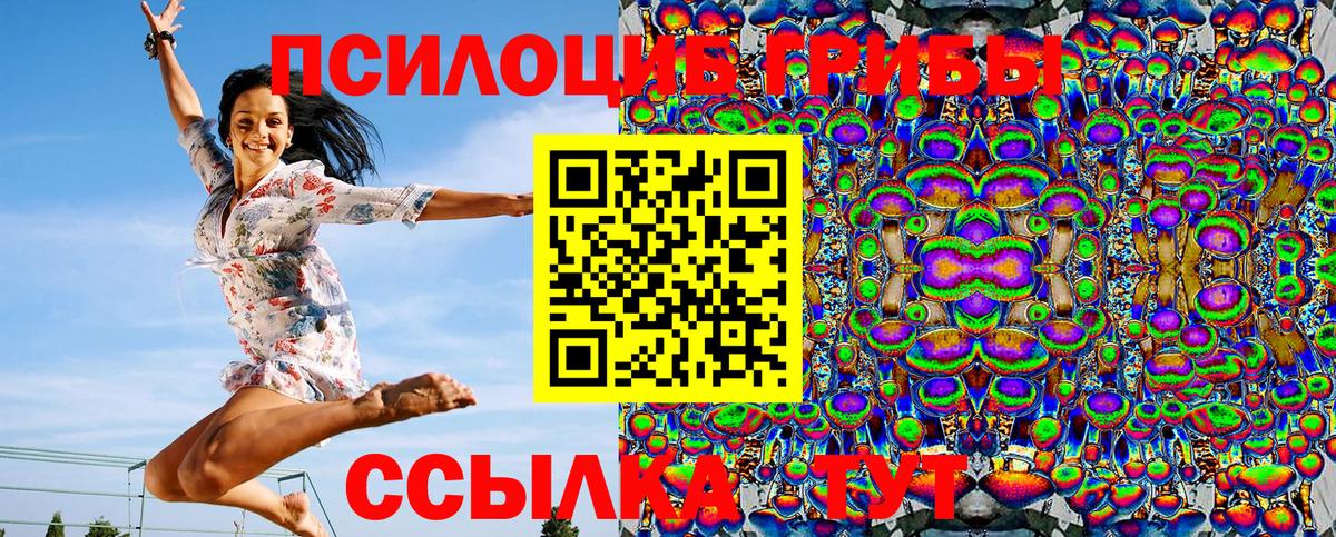 Псилоцибиновые грибы Magic Shrooms Владикавказ